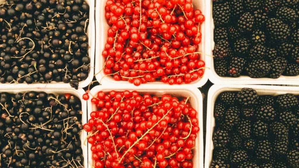 Top 10 Pinterest Influencers You Should Collaborate With in Sweden