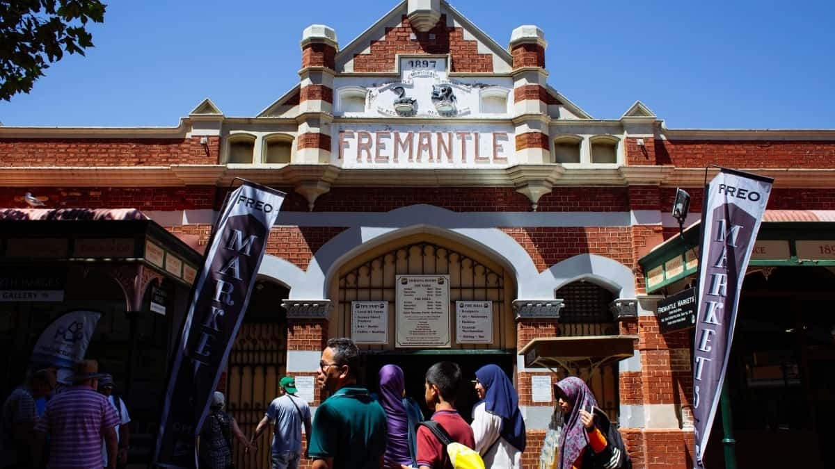 Finding Tanzania Netflix Creators to Boost Seasonal Deals