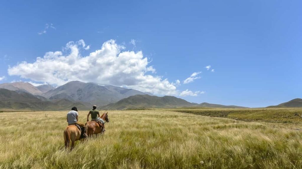 Discover practical tips for UK creators to connect with Uzbekistan brands on Line and snag free product samples.