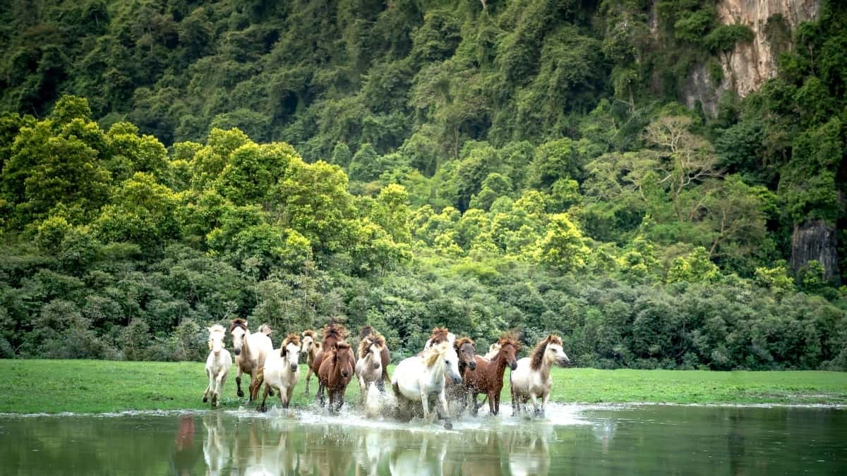 UK Advertisers’ Guide: Finding Bosnia Xiaohongshu Creators to Boost Leads