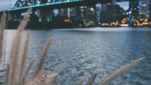 Practical guide for UK advertisers to discover Spain-based WeChat creators and localise brand messaging, with outreach tactics, compliance tips and platform tools.