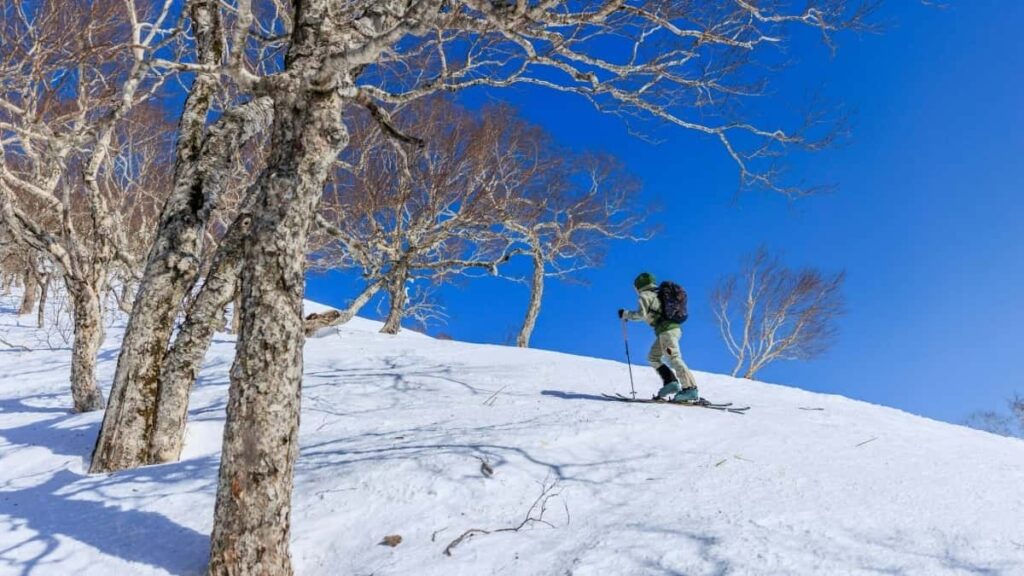 Practical guide for UK advertisers to discover Luxembourg Takatak creators and turn followers into buyers outreach, tracking, and conversion tactics.