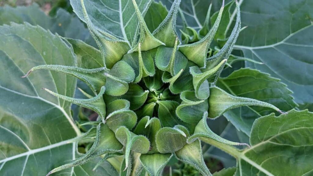 Practical guide for UK creators on contacting Danish beauty and skincare brands via Zalo, with outreach tactics, localisation tips and platform notes.