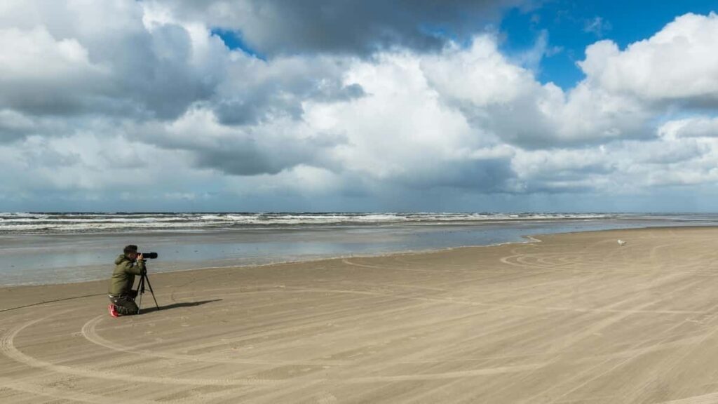 Practical guide for UK advertisers on locating Algeria-based OnlyFans creators, sourcing viral vertical video content, with legal and safety flags.