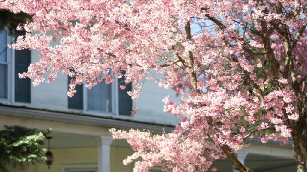 Practical playbook for UK advertisers to discover and work with Belgium-based Hulu creators to boost awareness in gaming communities.