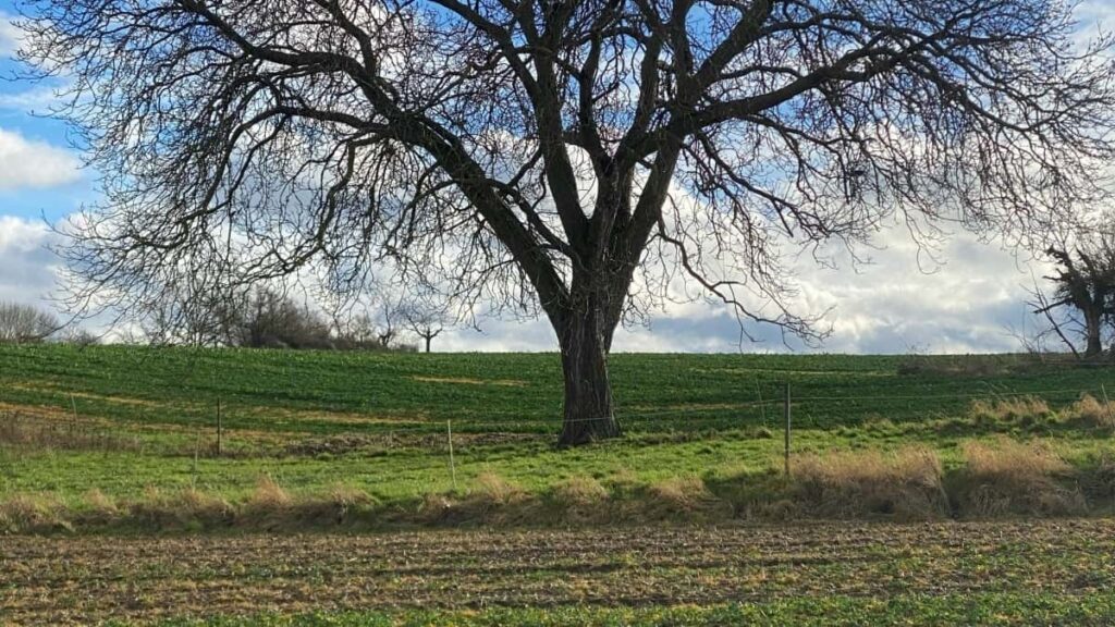 Practical guide for UK advertisers on finding Montenegro Xiaohongshu creators for creator-driven product seeding tactics, outreach, measurement and real examples.