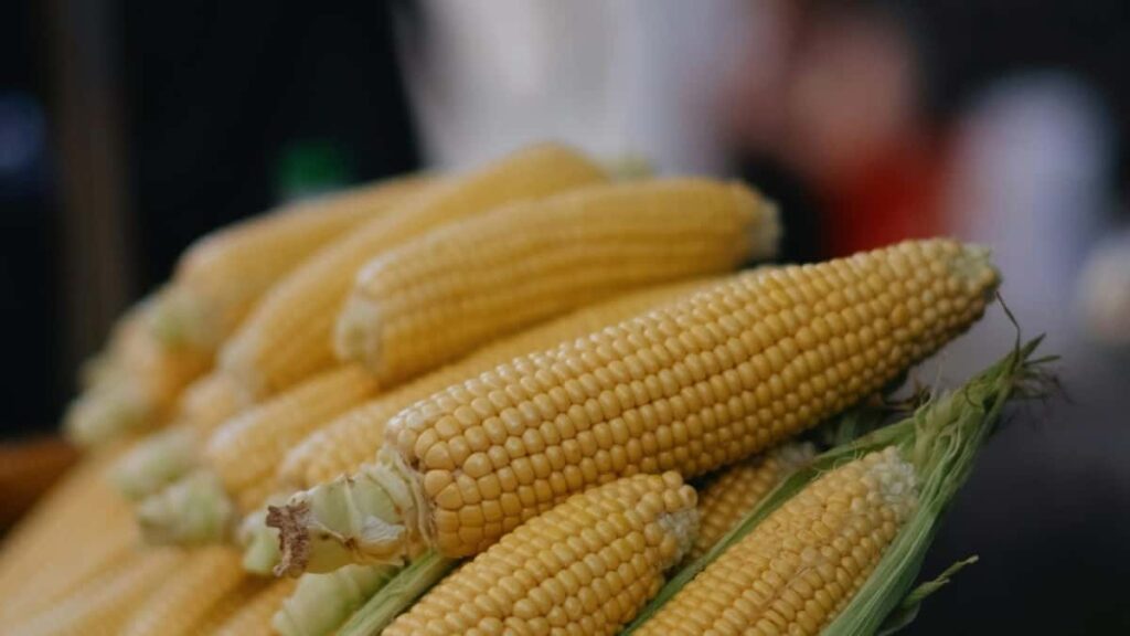 Practical guide for UK advertisers to find Peruvian Pinterest creators and localise brand messaging effectively in Peru.