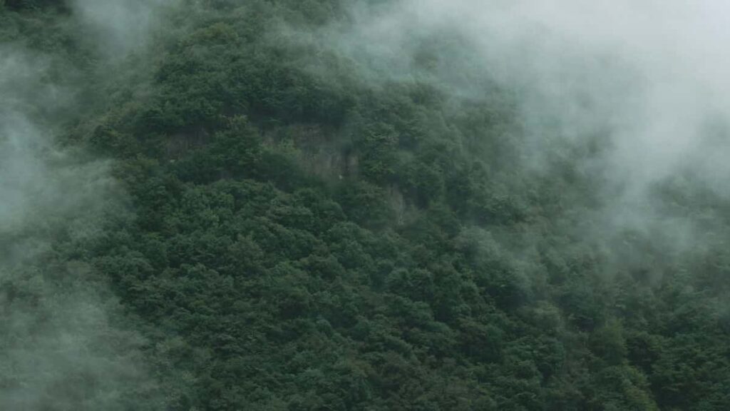 Practical, streetwise guide for UK creators on finding, pitching and filming behindthescenes content with Armenian brands via TikTok outreach scripts, local tips and legal flags.