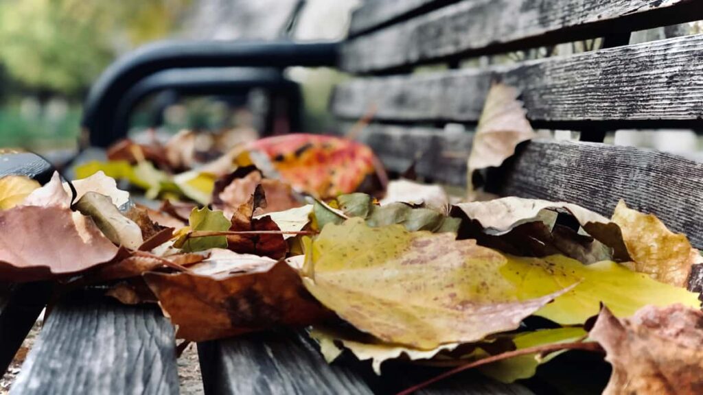 Practical guide for UK advertisers: where and how to find creators on Chinafacing platforms (Douyin, WeChat, Ctrip etc.) to drive authentic UGC for travel gear.