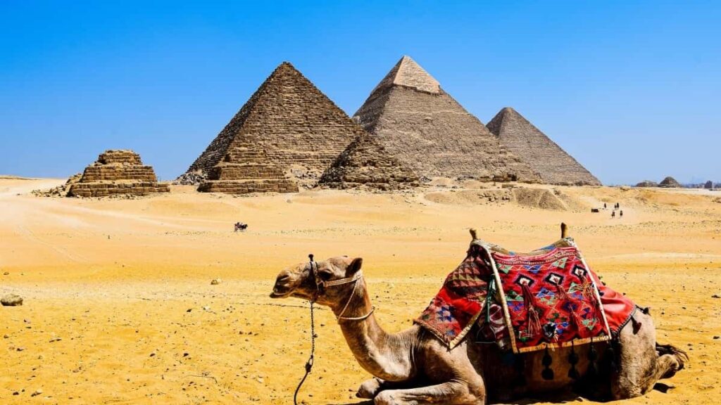 Practical guide for UK creators on finding, pitching and collaborating with Finland-based Etsy sellers to review trending products outreach scripts, platform tips and legal basics.