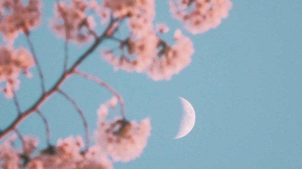 Practical guide for UK creators on using Clubhouse to pitch Romanian brands, win UGC briefs and turn chats into paid work with outreach templates and localisation tips.