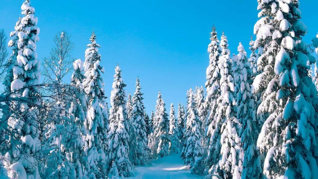 Practical guide for UK advertisers to find Slovenia-based Disney Plus creators, with platform strategies, outreach templates and trend-backed tips to boost brand visibility.