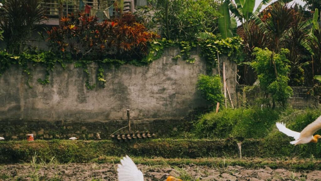 Practical, street-smart guide for UK advertisers on finding Kenya-based Bilibili creators to send PR packages, with outreach tactics, logistics and platform tips.