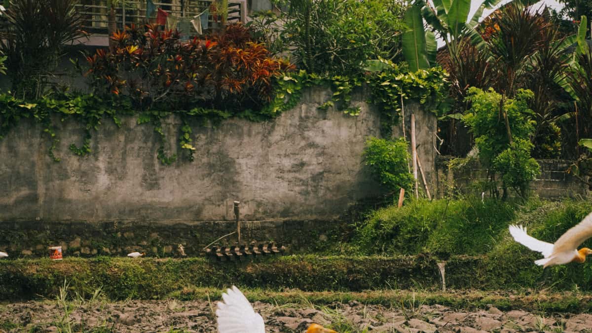 UK Marketer’s Quick Guide: Kenya Bilibili Creators & PR Wins