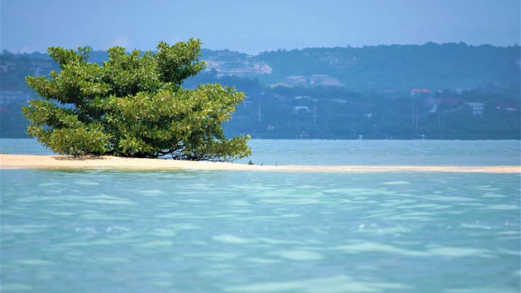 Practical guide for UK creators on pitching Ecuador brands via Chingari, with outreach scripts, growth tactics, and deal-structuring tips to land long-term partnerships.