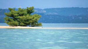 Practical guide for UK creators on pitching Ecuador brands via Chingari, with outreach scripts, growth tactics, and deal-structuring tips to land long-term partnerships.