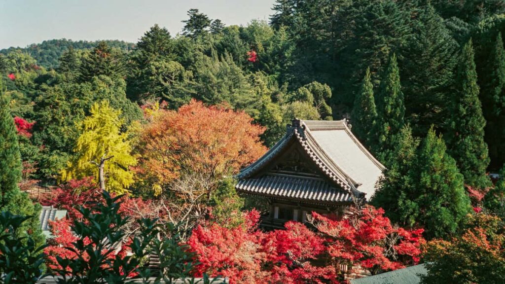 Practical playbook for UK creators on contacting Indonesian brands via Line to make branded travel vlogs outreach scripts, targeting, pricing hints and platform tips.