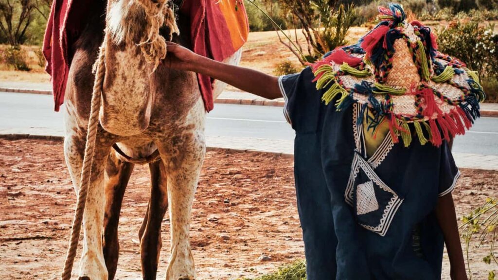 Practical playbook for UK creators to find, approach and monetise Iran-linked brands via Lazadas cross-border tools, video commerce and partnership tactics.