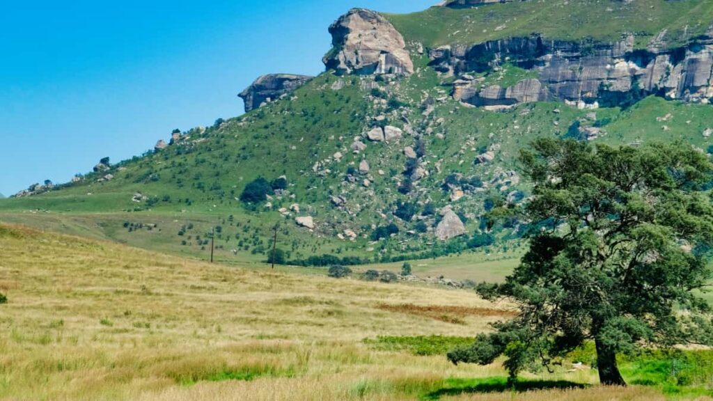 Practical guide for UK creators on pitching Vietnam brands via HBO Max partnerships to represent fitness products strategies, contacts, platform tactics and risks.