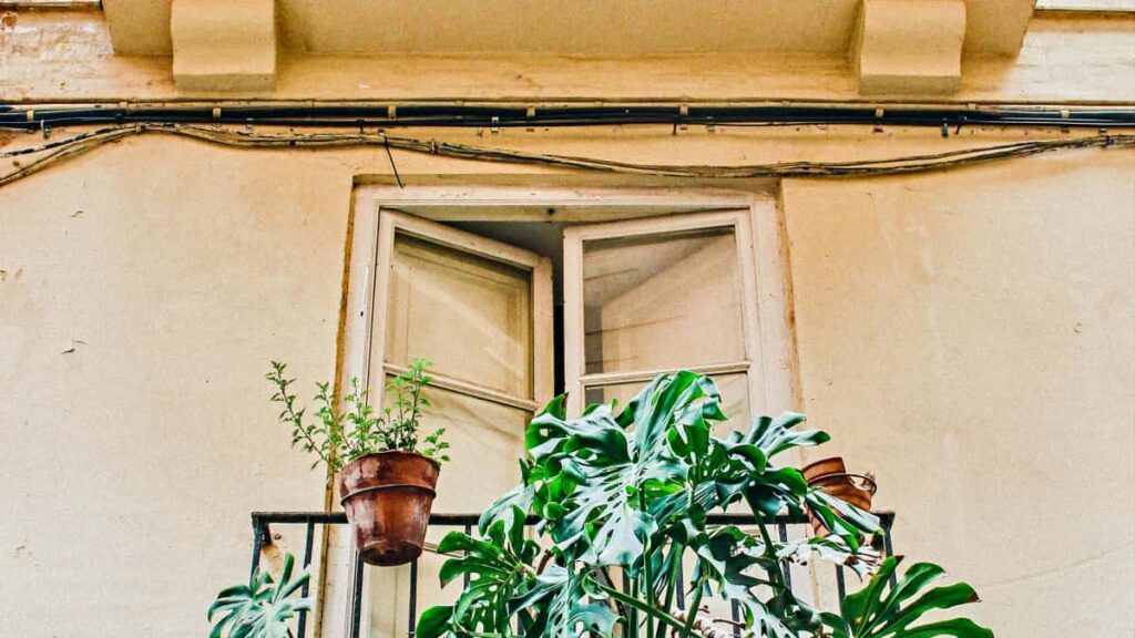 Practical guide for UK advertisers to discover and vet Panama-based OnlyFans creators for city-guide collaborations.