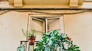 Practical guide for UK advertisers to discover and vet Panama-based OnlyFans creators for city-guide collaborations.