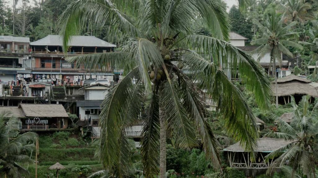 Practical guide for UK advertisers to find Paraguay Takatak creators to promote local tours, with platform tactics, outreach templates and campaign tips.