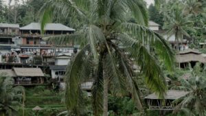 Practical guide for UK advertisers to find Paraguay Takatak creators to promote local tours, with platform tactics, outreach templates and campaign tips.